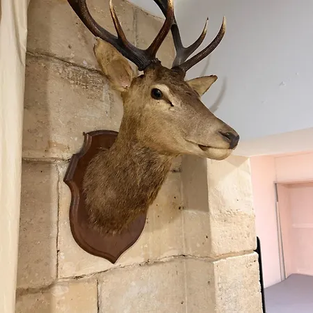 En Pierre Proche De Notre Dame De Apartment